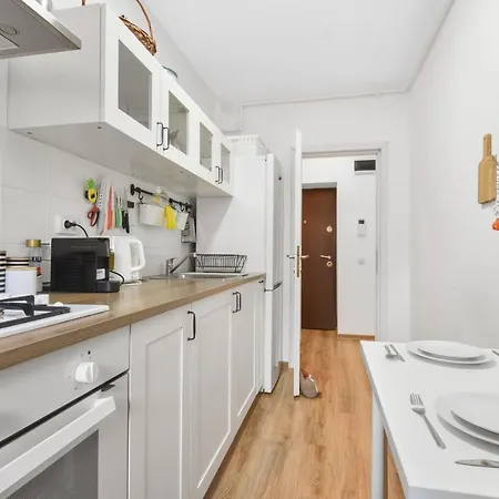 Apartment One Bedroom With Mountain View